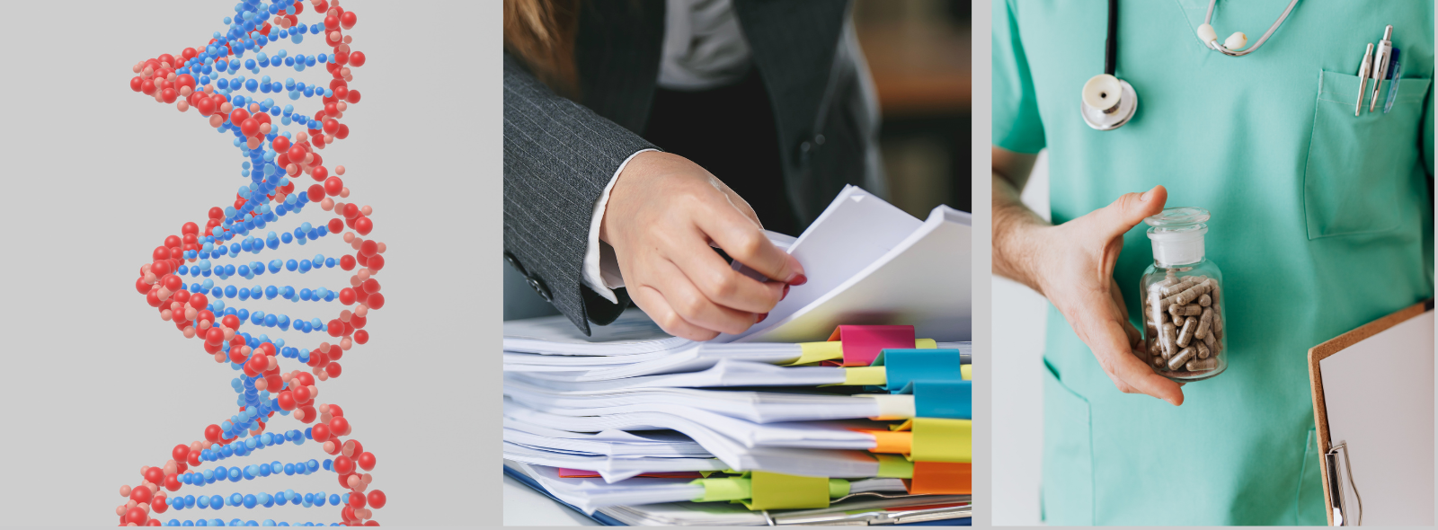 Due giornate dedicate all'istruttoria tecnico-scientifica delle decisioni pubbliche 19 e 20 marzo al DIGSPES