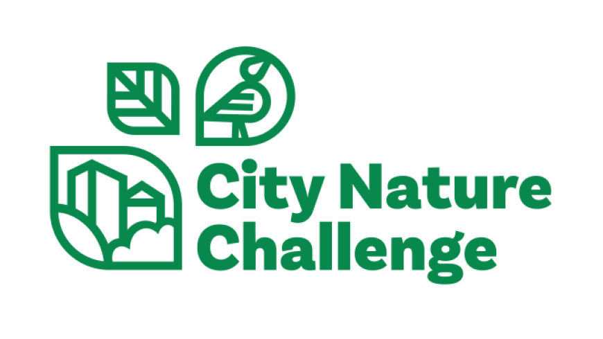 CNC